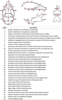 Postnatal Craniofacial Skeletal Development of Female C57BL/6NCrl Mice